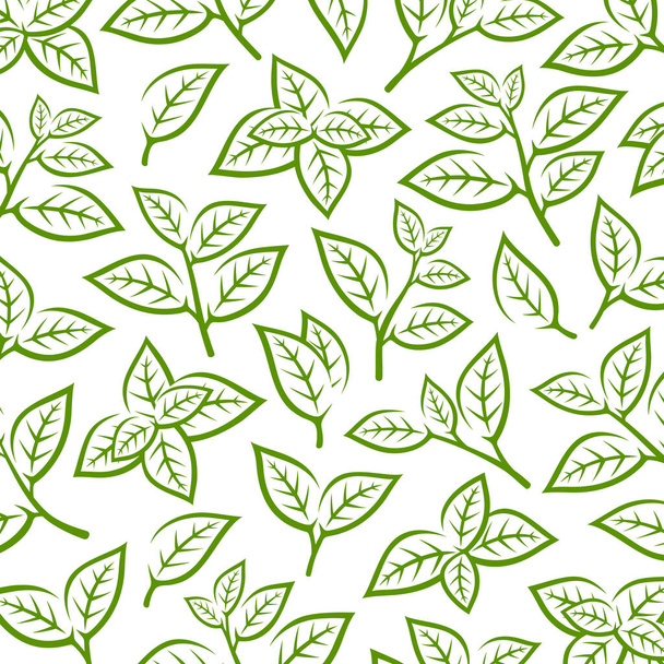 Green tea leaf pattern background. Collection green tea leaf icons. Vector - Vektör, Görsel