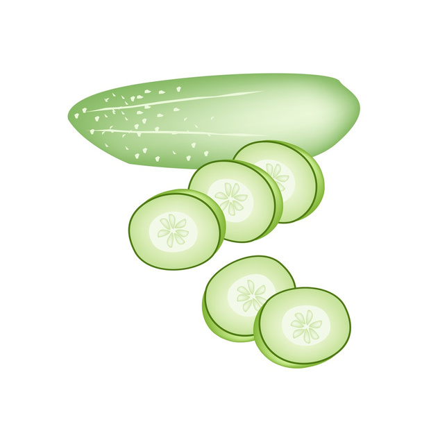 Cucumber and Cucumber Slices on White Background - Vector, Image