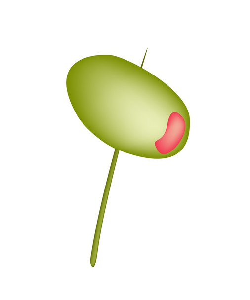 Fresh Green Olive on A Wooden Stick - Vector, afbeelding