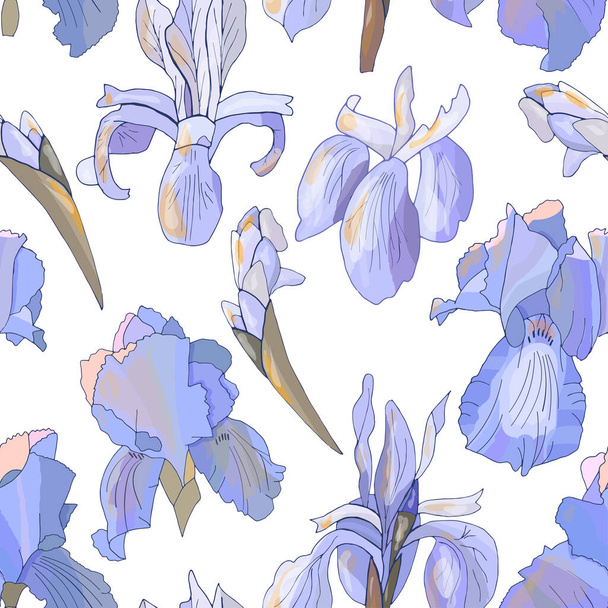 Romantic floral seamless pattern with irises. - Vector, imagen