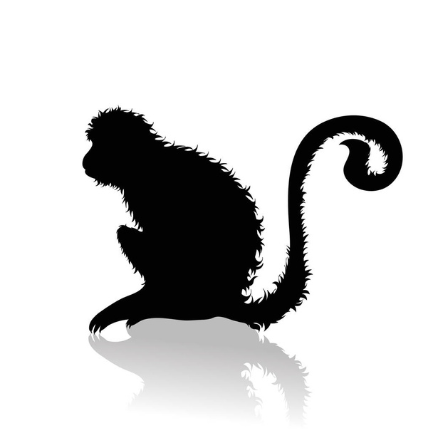 Silhouette vectorielle de singe sur fond blanc Symbole d'animal et de nature. - Vecteur, image