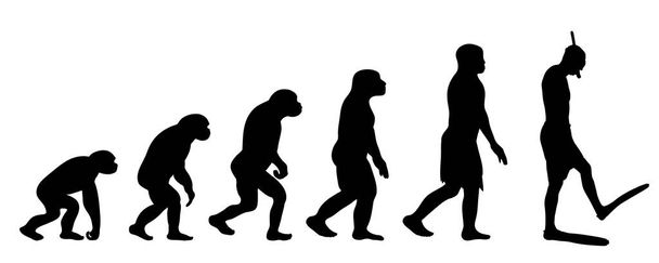 Painted theory of evolution of woman. Vector silhouette of homo sapiens. Symbol from monkey to diver. - Vector, Image