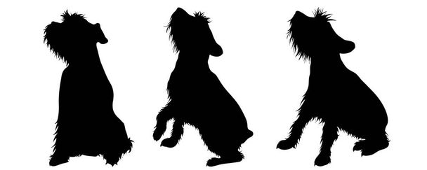 Vector silhoutte of set dogs on white background. Symbol of animal and veterinary. - Vector, Image