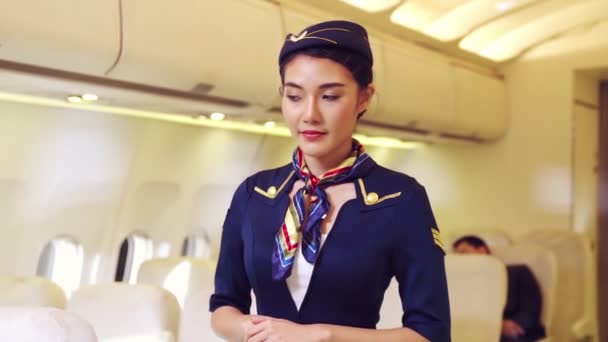 Cabin crew or air hostess working in airplane - Footage, Video