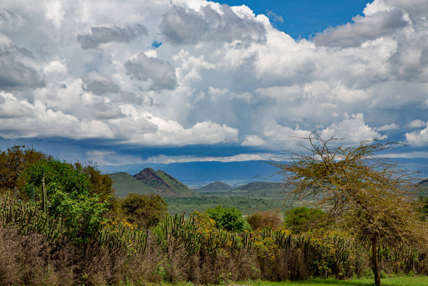 Пагорби біля озера Накуру у Великій рифтовій долині (Кенія, Африка). - Фото, зображення