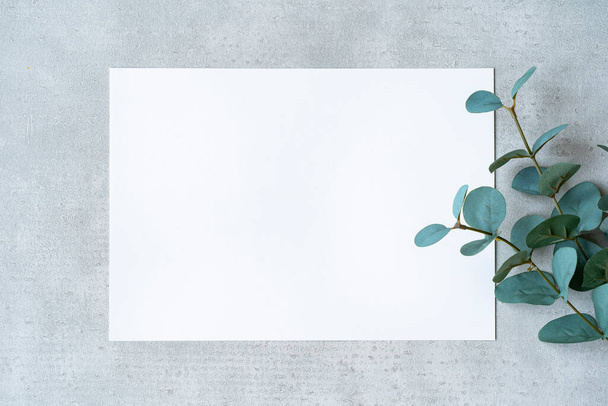 Papel blanco y plantas colocadas en un plano de hormigón - Foto, Imagen