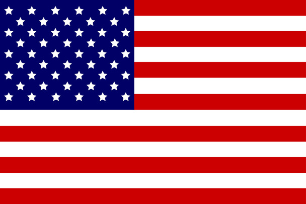 Flaga USA, ilustracja - Wektor, obraz