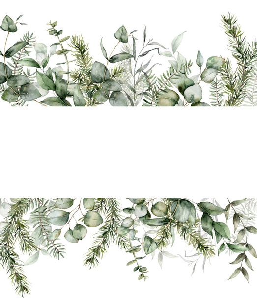 モミやユーカリの枝と水彩クリスマスバナー。白い背景に隔離された手描きの休日の植物。デザイン、プリント、ファブリックまたは背景のための花のイラスト. - 写真・画像