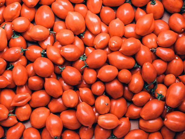 Sebze bahçesinde yeni toplanmış İtalyan kırmızı domateslerinin desen dokusu. - Fotoğraf, Görsel