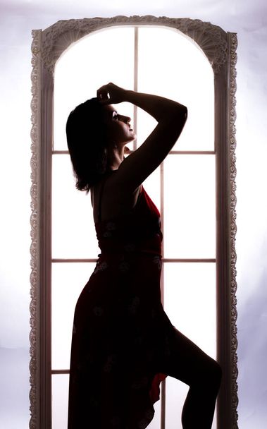 Womans beautiful sihouette on white window background - Photo, image
