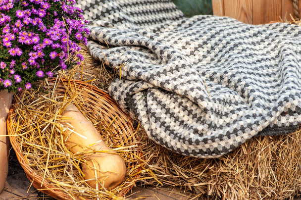 Manta de punto gris pelada de lana caliente sobre paca de heno junto al ramo de crisantemos y calabaza amarilla en cesta - Foto, Imagen