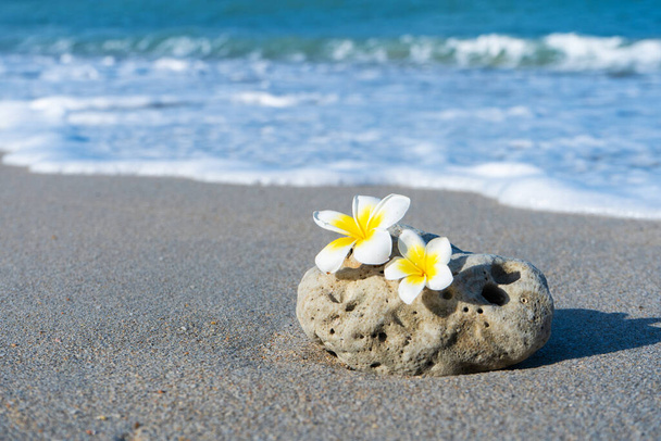 Egy kis kő érdekes sima formában mossa hullámok a strandon. Nyugodt és pihentető a tengeri koncepció. - Fotó, kép