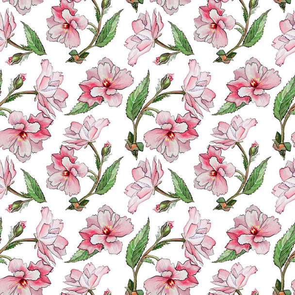 Seamles pattern with Spring japanese sakura with pink flowers on white background. Hand Drawn Cherry Blossoms floral illustration. - 写真・画像