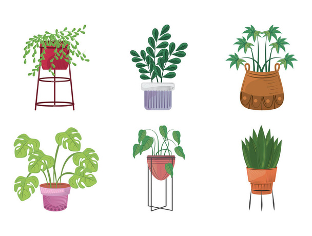 鉢庭の装飾品に観賞用植物をセット - ベクター画像
