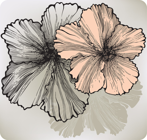 Blooming hibiscus flower, hand-drawing. Vector illustration. - Vektor, Bild