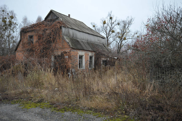 Casa na aldeia abandonada Novyi Mir, paisagem pós-apocalíptica, época de outono na zona de exclusão de Chernobil, Ucrânia - Foto, Imagem