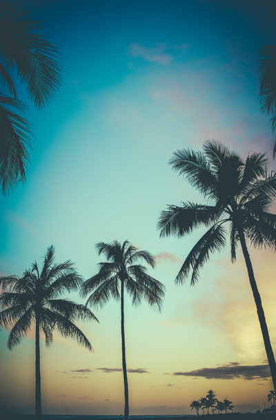 Hawaii Retro Sunset Palm Trees - Photo, Image