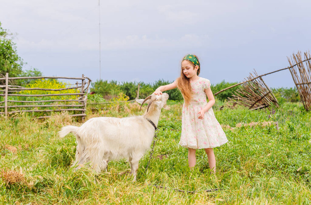portrét malé holčičky venku v létě. Dívka a koza. - Fotografie, Obrázek