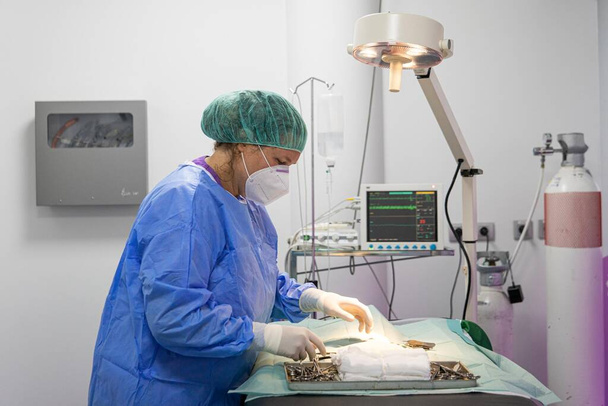 Veterinarian preparing all the instruments for an operation - Photo, Image