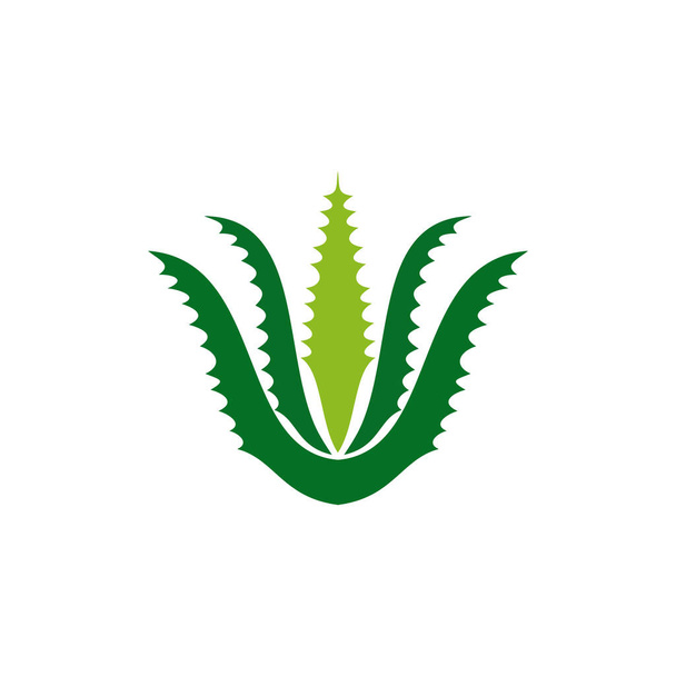 Aloes vera projektowanie logo wektor szablon - Wektor, obraz
