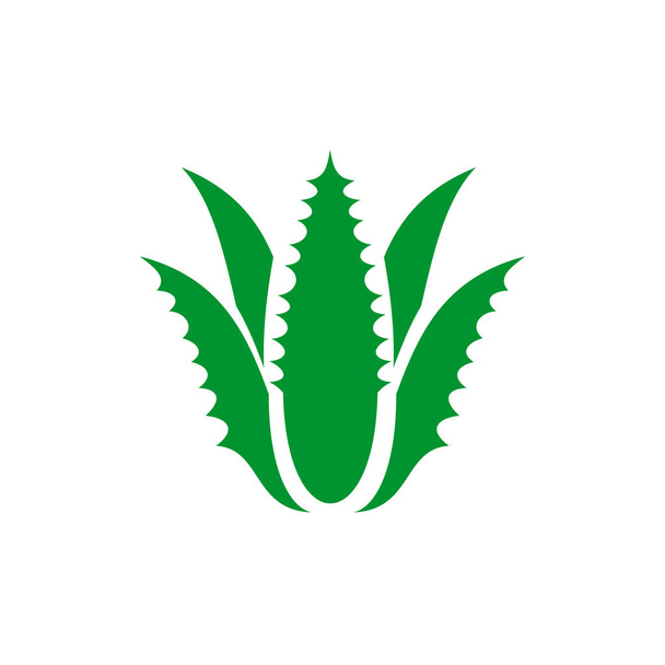 Plantilla de vector de diseño de logotipo de planta de Aloe vera - Vector, Imagen