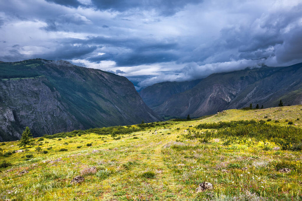 View of the Chulyshman highlands near the Chulyshman river valley. Ulagansky district, Altai Republic, South of Western Siberia, Russia - Foto, Bild