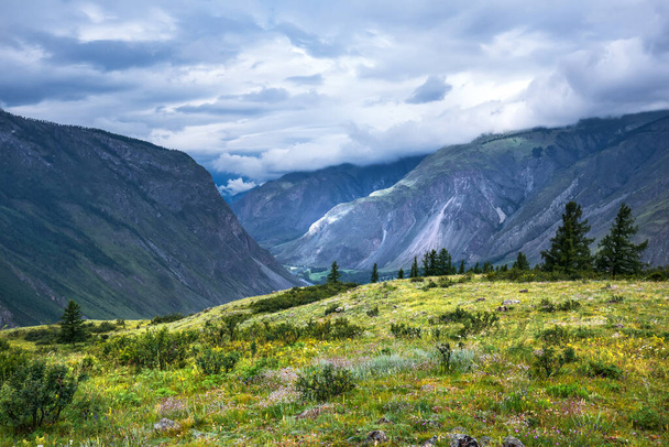View of the Chulyshman highlands near the Chulyshman river valley. Ulagansky district, Altai Republic, South of Western Siberia, Russia - Фото, зображення