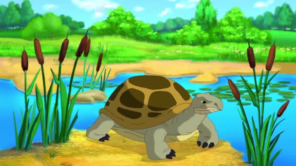 Tartaruga marrom grande espreita para fora de sua concha perto da lagoa em um dia ensolarado de verão. Animação 2D artesanal. - Filmagem, Vídeo