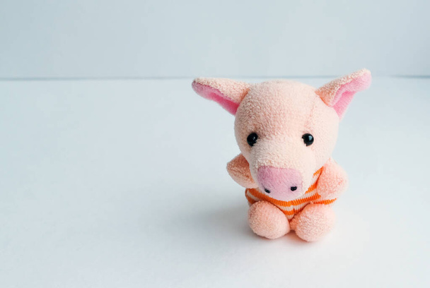 porco brinquedo macio em um fundo leve - Foto, Imagem