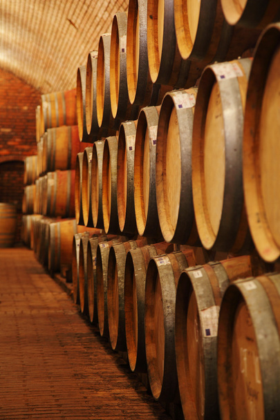 beczki wina w piwnicy winiarskiej - Zdjęcie, obraz