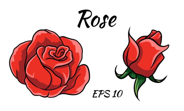 Red rose cartoon style on a white background. - Вектор,изображение