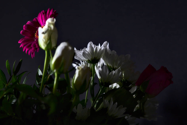 黒い背景に白いバラと菊と紫のガーベラとバラの花束。 - 写真・画像