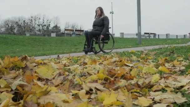 Osoba na wózku inwalidzkim na zewnątrz - Materiał filmowy, wideo