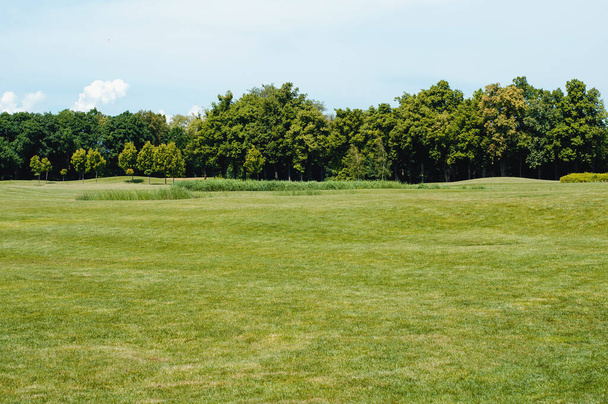 Пейзаж поля для гольфа Красивый пейзаж. - Фото, изображение