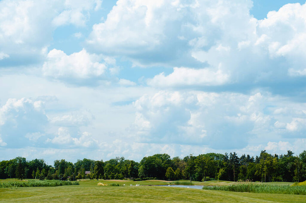 緑のゴルフ場と青い曇天。ヨーロッパの風景 - 写真・画像