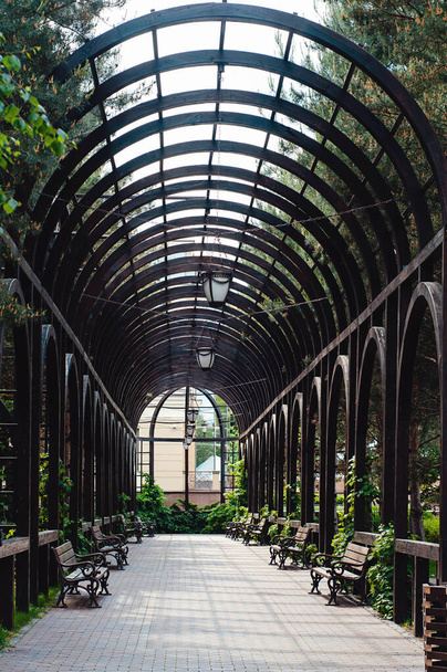 Arco hangar in legno con panche nel parco - Foto, immagini