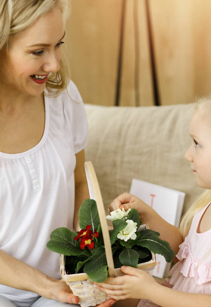 Happy mother day. Child daughter congratulates mom and gives her basket of spring flowers. Family concept - Foto, Imagem