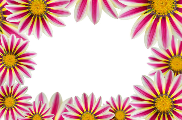 квітка фон
 - Фото, зображення