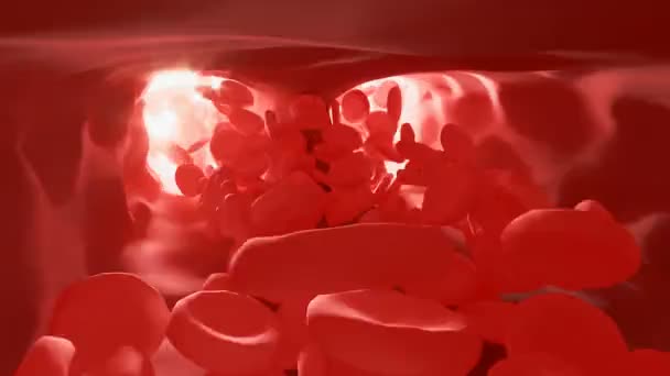 Rode bloedcellen in een slagader, stromen in het lichaam, medische menselijke gezondheidszorg. Rode bloedcellen. Bloed elementen. 3d waardoor rode bloedcellen ontstaan - Video