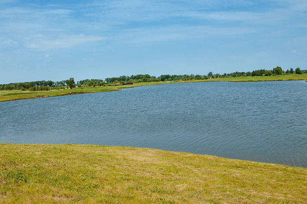 Lago en el campo de golf. Hermoso faisán, cielo azul nublado, árboles y arbustos en el campo de golf. - Foto, Imagen