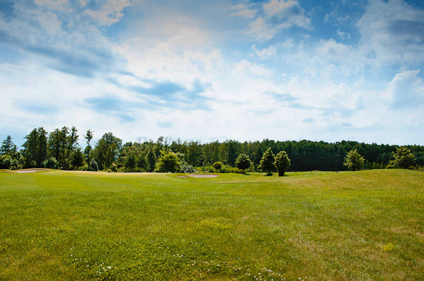 Green field, tree and blue sky. Great as a background, web banner - Zdjęcie, obraz
