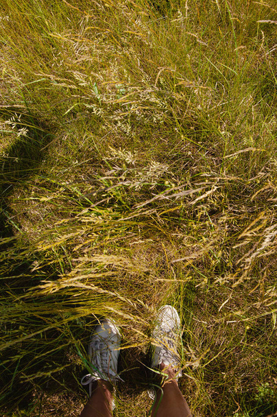 Dziewczyna w jasnoszary zasłona stoję w wysoki trawa - Zdjęcie, obraz