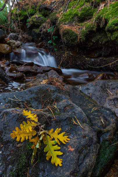 Moncayo doğal parkında sonbahar manzarası ve şelale. - Fotoğraf, Görsel