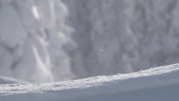 Schnee fällt am Wintertag - Filmmaterial, Video