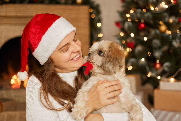 Attractive woman holding in hands Pekingese puppy with re bow in teeth, lady looks at her pet with great love, female wearing santa hat and white jumper, posing in festive living room with fireplace. - Foto, imagen