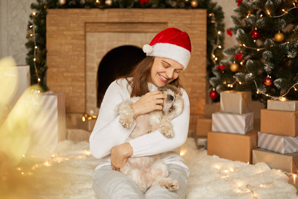 Woman in red hat and causal sweater holding small funny cute dog on Christmas background, lady with toothy smile sitting on floor on soft carpet and laughing happily. - 写真・画像