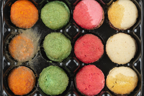 Vorm op koekjes in dienblad. beschimmelde, verlopen macarons koekjes - Foto, afbeelding