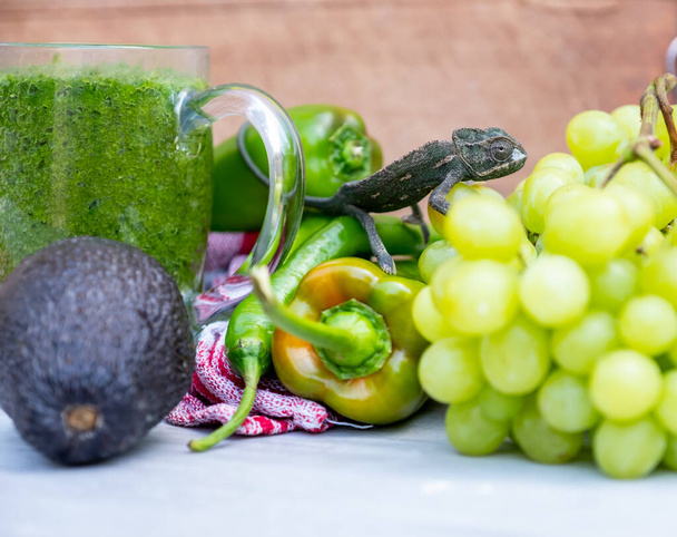 Changing color lizard blending nin some vegetables and fruits - Photo, Image