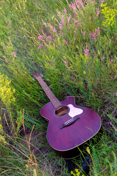 gitara akustyczna na trawie. gitara instrumentalna w kwiatach. klasyczny  - Zdjęcie, obraz