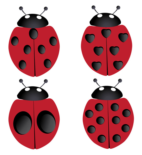 Ladybugs - Vettoriali, immagini